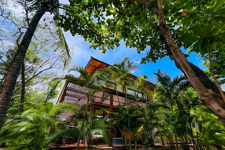 Villa Jasmin - Natú