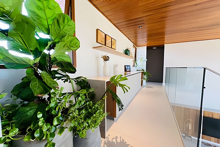 Mansão Tartarugas - Natú