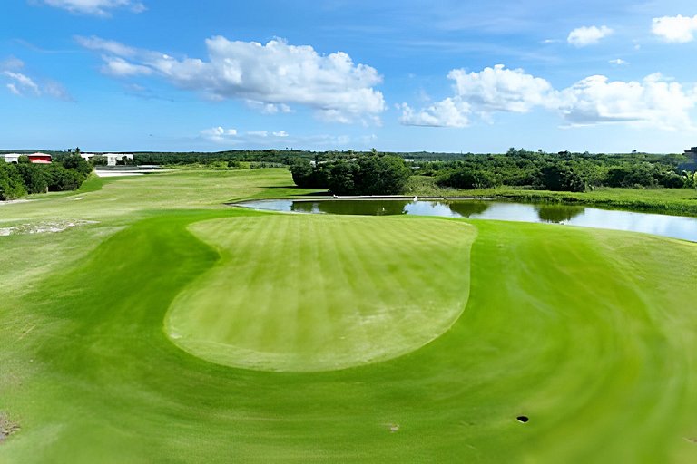 Villa Palmier - Natú