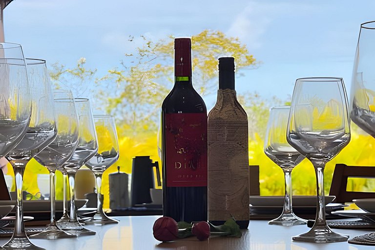 Mansão das Orquídeas - Natú